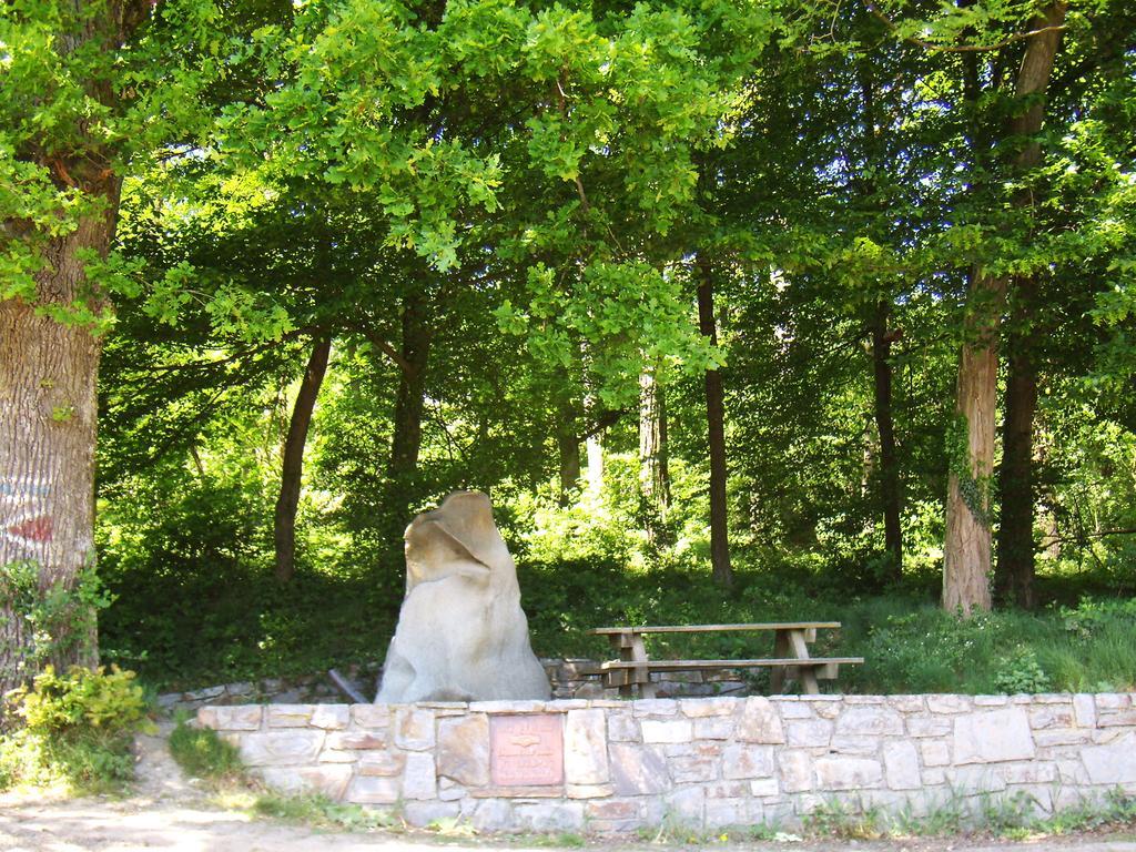 Privatzimmer und Ferienwohnungen Leeb Persenbeug Exterior foto